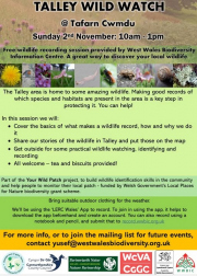 251102a-WestWalesBioDiversity-Wild-Watch